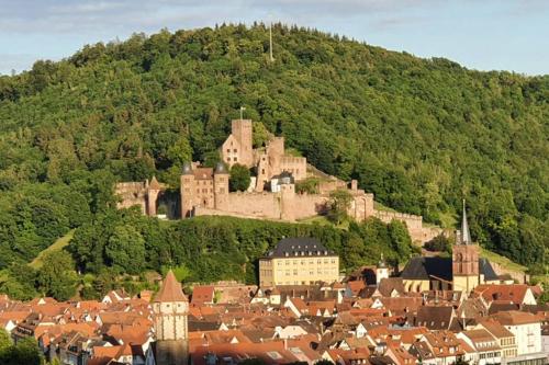 Ferienwohnung 'Burgblick'