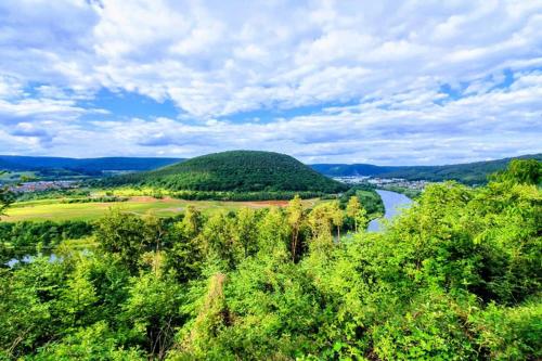 Ferienwohnung 'Burgblick' 6.5km von Collenberg entfernt