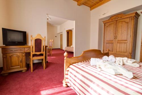 Közös társalgó / TV, Apartamenty Renesans in Krynica városközpont