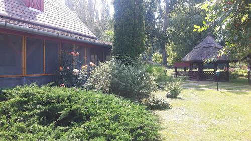 Dārzs, Tiszai Vándor Apartmanház (Tiszai Vandor Apartmanhaz) in Kiskore