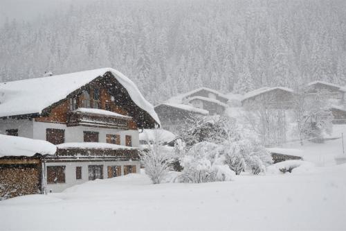 Ferienwohnungen Anja in Steeg, Österreich