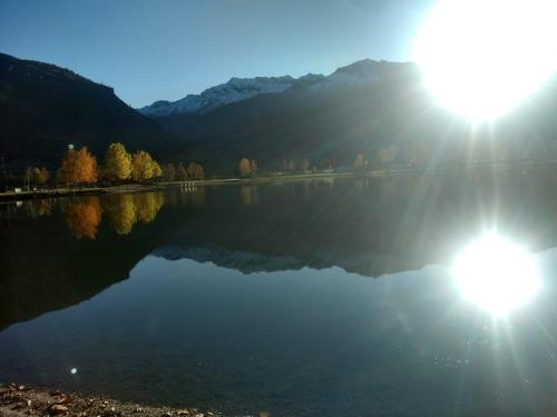 Wildente am See