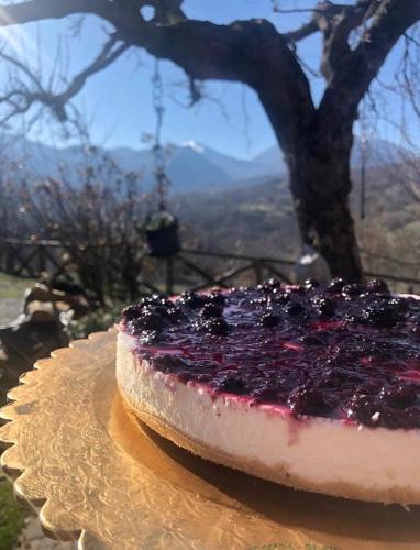 I fiori del Pollino - Guest House - image 2