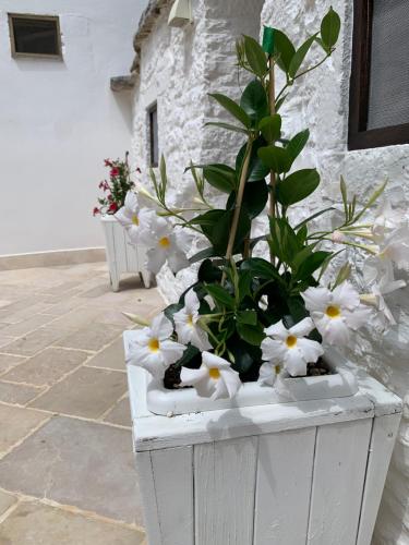 Trulli Family - image 5