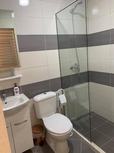 Two-Bedroom Apartment image 10