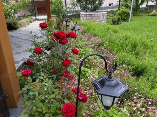 Private Home Rifat - image 6