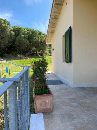 Apartment with Terrace 1 image 6