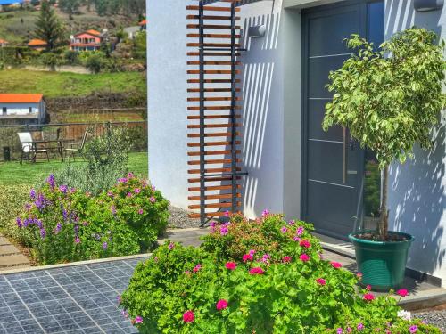  Lucilia´s House in Calheta