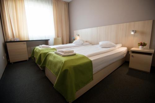 Pensiunea Panorama Business Inn - image 5