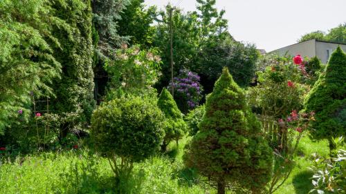 Jardim, Apartament Malwa in Sopot Centrum