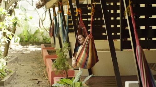 The Lazy Dog Bed & Breakfast