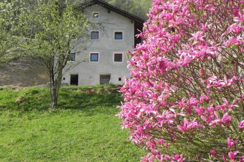 Apartma Čar