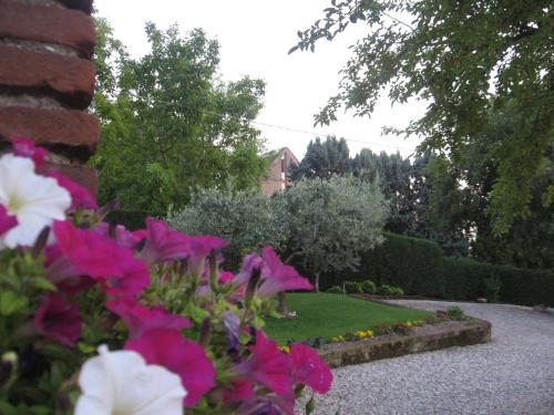 Cortecoraman - main image