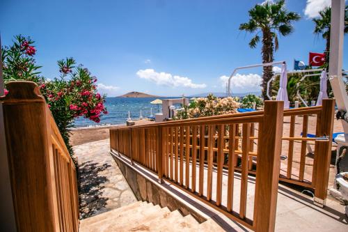 Club Muskebi - main image