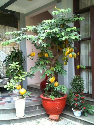 Thien Anh Hotel – Haiphong