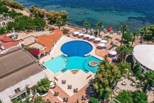 Club Muskebi - image 10