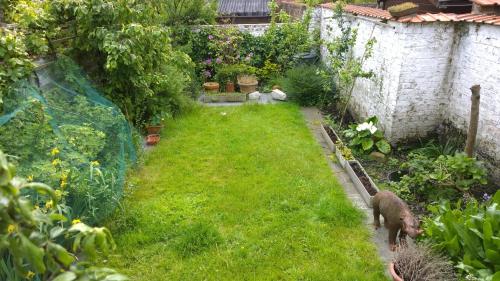 B&B Oostende - image 5