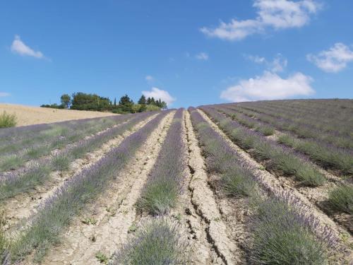 Agriturismo Mandriato