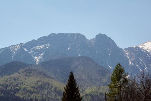 Pokoje Gościnne Pod Gubałówką