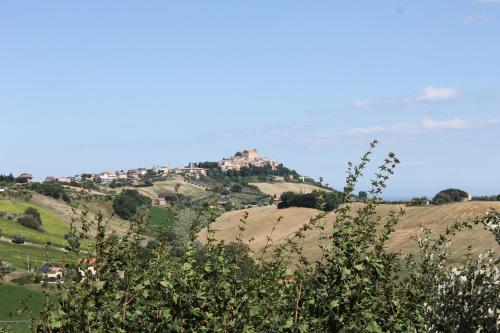 Verdemare 5