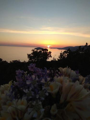 Apartman uz more - image 7