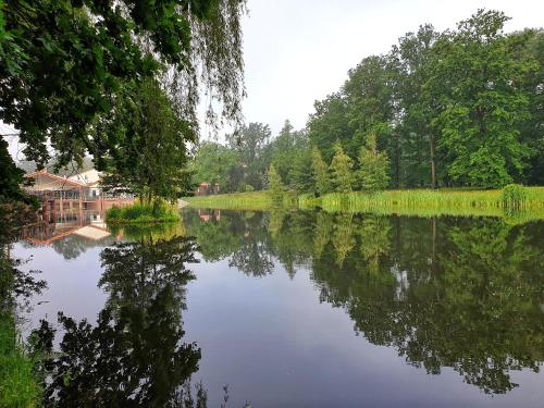 Stacja Nowa Gdynia Bed & Breakfast Aquapark