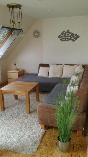 Ferienwohnung-Panoramablick - Apartment - Gemünden an der Wohra