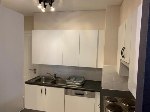 Studio with Seaview, Blankenberge (photo 9)