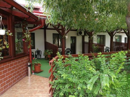 Pensiunea Casa Matei in 普斯塔