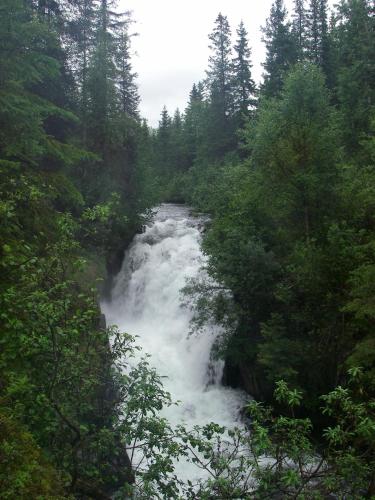 Arctic Paradise B&B – Seward, AK