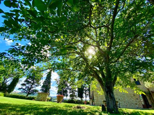 Agriturismo L'Antica Quercia