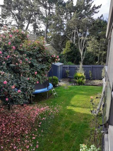 Garden, Kiwi Hosts in Auckland