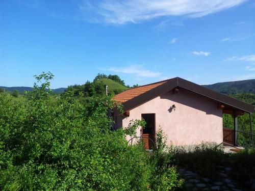 La Volpe e la Luna in Mioglia