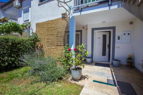 Apartment Rosse