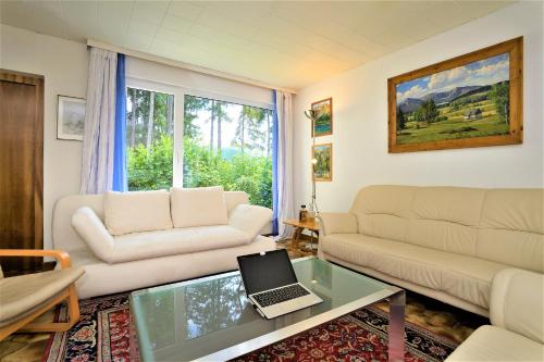 Ferienhaus am Traunsee mit Bergsicht in Traunkirchen