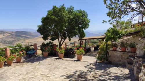 Finca Sábila Finca Sábila