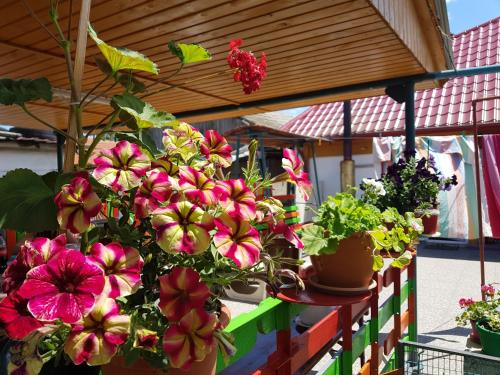 Casa Simona Casa Simona