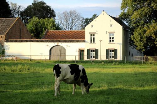  La Vache Contente in Maastricht
