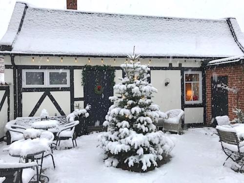 편의 시설/서비스, 호텔 베카고르덴 (Hotell Backagarden) in 이스테드