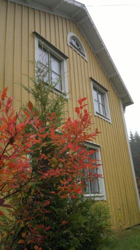 Kylås Vildmark, Skillingaryd (Foto 3)
