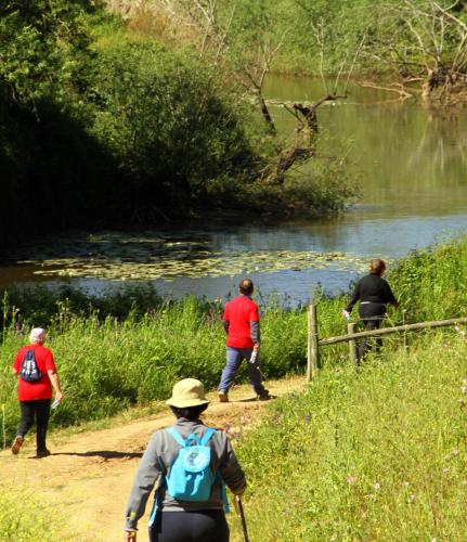 Hotel O Gato - Edificio Standard - image 14