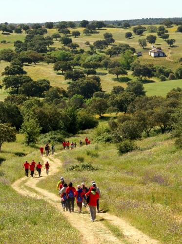 Hotel O Gato - Edificio Standard - image 12