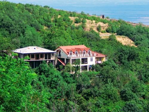 المنظر الخارجي, Favourite in Sighnaghi