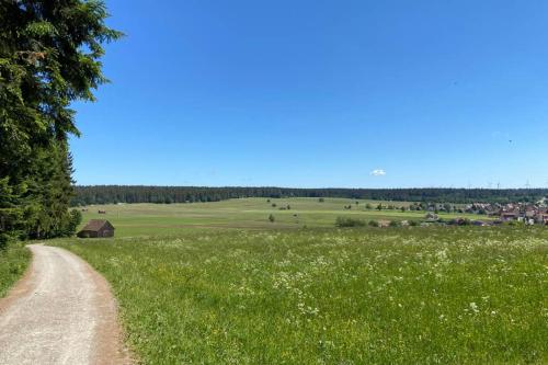 Ferienwohnung im Schwarzwald Oberwiesenhof