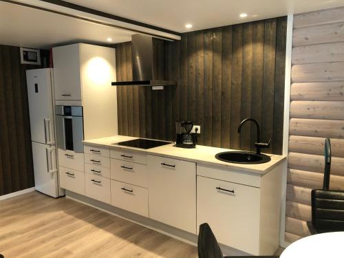 virtuve, Jolster sauna apartments in Skei I Jolster