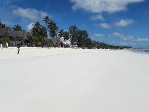 Ocean Blue Apartment with Panoramic Pool ZanzibarHouses