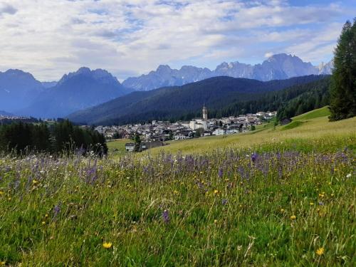 Appartamento 3cime Stefania in Fraz. Padola - Comelico Superiore