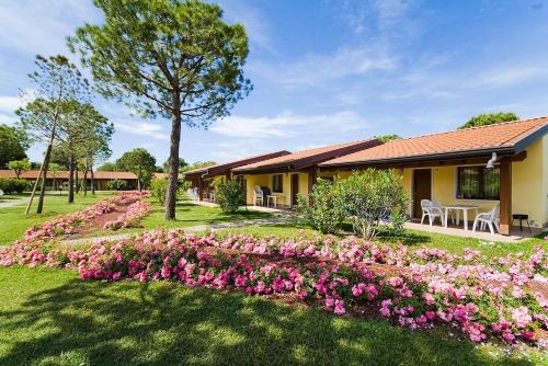 Campeggio Del Garda