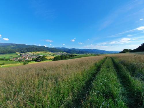 Apartment Schneeburg