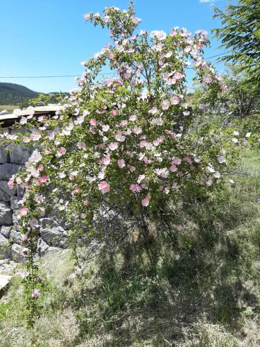 Gîte Gréolières Les bastides du Plan